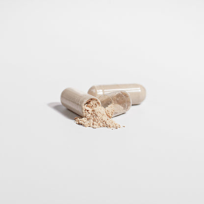 Chaga Mushroom Supplement – 60 Vegan Capsules | Divine Mind